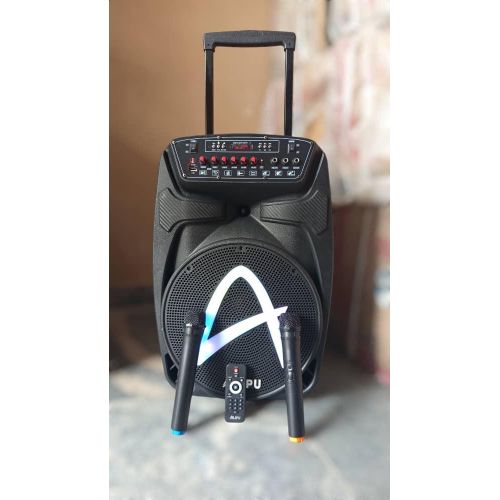 AILIPU Rechargeable 12 inches PA with 2 double wireless microphone and trolley